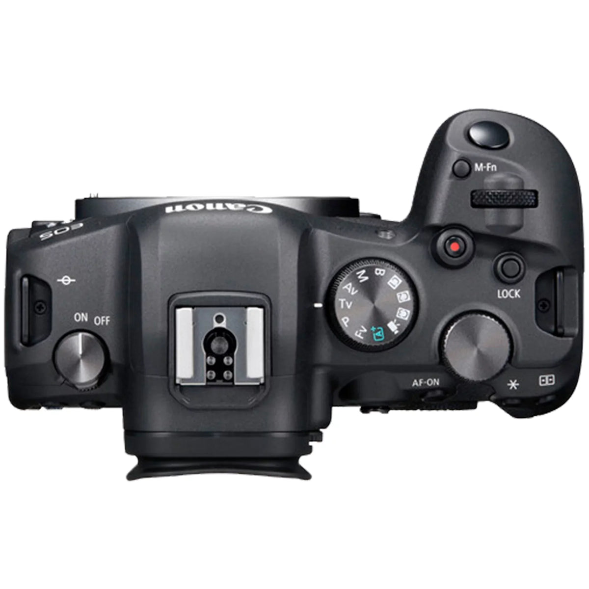 Canon EOS R6 Mirrorless Digital Camera (Body Only) with EF Mount Adapter + 64GB SanDisk + Case + ZeeTech Accessory