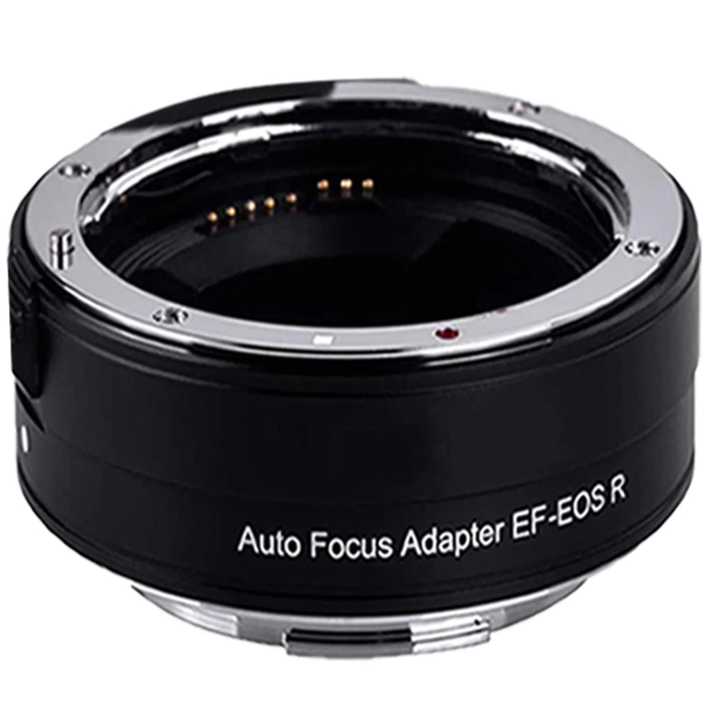 Canon EOS R6 Mirrorless Digital Camera (Body Only) with EF Mount Adapter + 64GB SanDisk + Case + ZeeTech Accessory